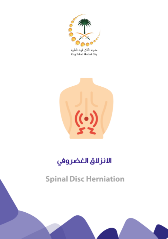 spinal disc.PNG