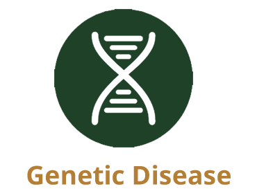 Genetic Disease1.png