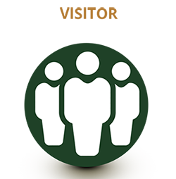 Visiror.png